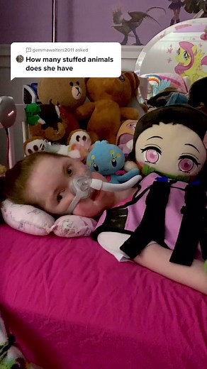 Stuffed Animal Collection: How Many Do You Have?