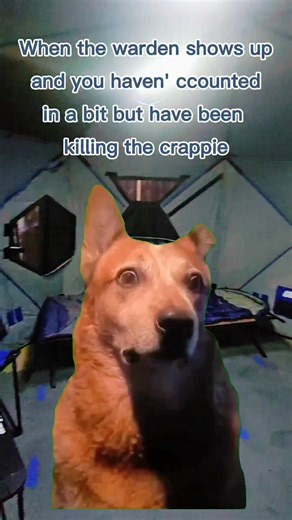 You've all been there! | Matt Snell