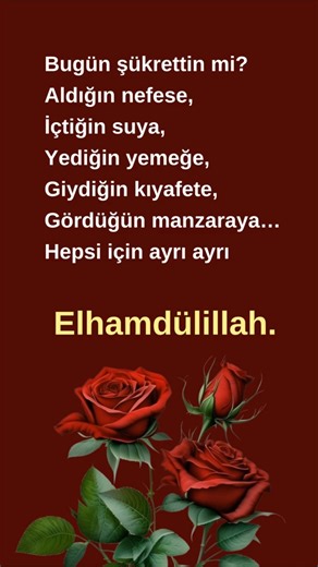 Bugün Şükrettin mi? #şükür #islam #allah #dua #zikir #iman #namaz #kuran #ayet #hadis #bismillah