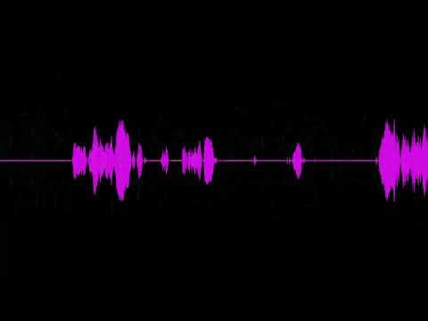 Keygen Music - SnD - Floppy Zip Disk Rescue 1.0 kg