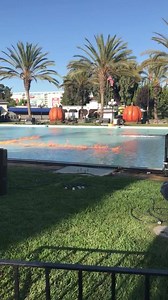 Theme park fire California's Great America #halloweenhaunt | InPark Magazine | Facebook