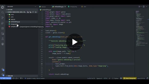 Multimodal AI: Gemini Embedding 2 Preview Model Analysis | Umer Saleem posted on the topic | LinkedIn