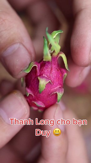 Tài khoản được đề xuất