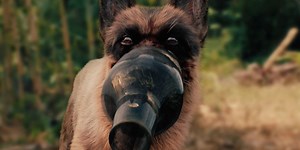 A Breed Apart Trailer