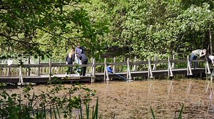 3.9K views · 131 reactions | Scotland’s status as an international climate change leader will be reinforced through new proposals to reduce greenhouse gas emissions by at least 90% by 2050, Climate Change Secretary Roseanna Cunningham has said. She announced details of a public consultation on the new measures on the same day as new statistics show Scotland met its annual target in 2015. | The Scottish Government | Facebook