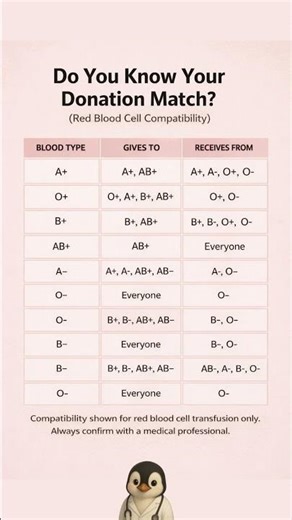 Do You Know Your Donation Match? Blood Type Compatibility Guide