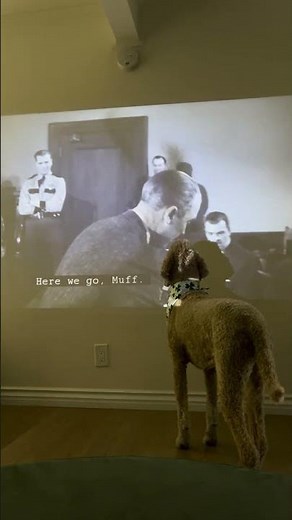 (Mostly) Eleanor Watching Anatomy of a Murder (1959)