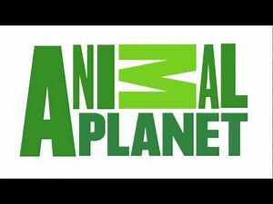 Animal Planet