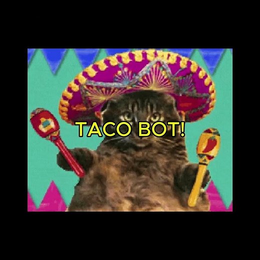 Taco Bot 3000 by Cats!! Part 2! 😲#tacos #parrygripp