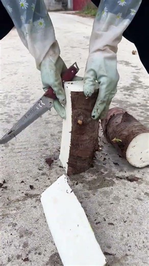 #Spring Greens Teach Me About Spring#Spring Life Vlog#Spring Scenery Through the Lens#Spri