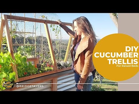 How To Build a Cucumber Trellis for Raised Beds