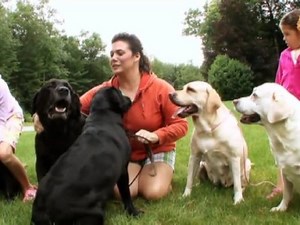 Dogs 101 Season 2 Episode 9