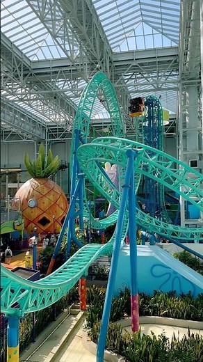 SpongeBob Plunge Roller Coaster #rollercoaster #amusementpark #entertainment