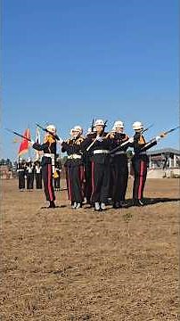 2025 포항 해병대 문화축제 의장대 시범공연 짧은 영상~(2025.11.15)#포항해병대문화축제