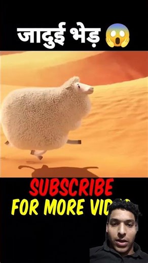 #facts #3danimation #funny #quran #quranmakeed #quranrecitation #nasr #qurantilawat