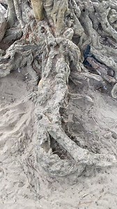 145K views · 769 reactions | Grand Popo, uno de los lugares importantes del vudu en Benin. #slowlylive #akumbele #travellife | Quim Fàbregas - Fotografía y Viajes. | Facebook