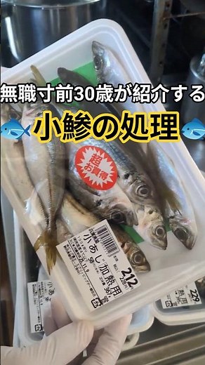無職寸前30歳、小鯵の処理を紹介。ポイントは塩水に漬ける事。血も抜けてオススメ！#料理 #和食 #節約 #節約レシピ #激安 #海鮮 #海鮮好き #魚 #fish #cooking #shorts