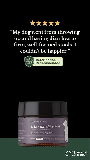 🐾 Kickstart your pet’s journey to better poop, breath and skin with our BOGO deal! 🐾 Now's the perfect time to boost their gut health with our science-backed supplements. Packed with pet-specific bacteria and recommended by veterinarians, these supplements support a happier, healthier life. 🚨Don't wait - offer ends November 29! 🚨Offer valid on select items. | AnimalBiome