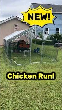 New Chicken Run Installed: what Do The Chickens Think?