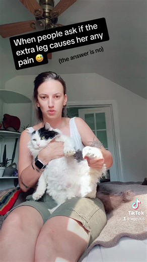 Yes I do regularly pretend her extra leg is a gear shifter and im driving a racecar. And no it doesnt hurt her :) #specialneedscat #leggylu #leggylu #aspca #fyp #fypcatsoftiktok #fypcatspftiktok