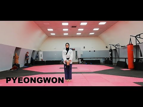 POOMSAE 12 (PYEONGWON)