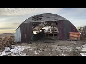 Jan 2021, hog loading ramp and hoop barn tour.