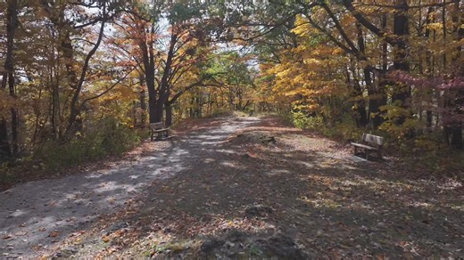 Here’s what you are missing out on at Backbone State Park in Delaware County. Taken on Friday Oct 11,2024 | Iowa Road Trip