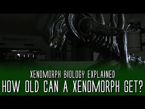 How Old Can a Xenomorph Get? - Xenomorph Biology Explained