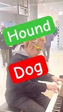 上野駅ストリートピアノ『Hound dog』