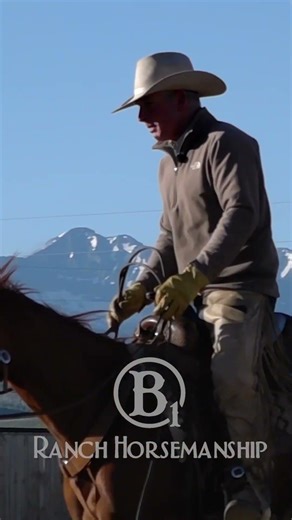 Stop saying "Whoa" too early.