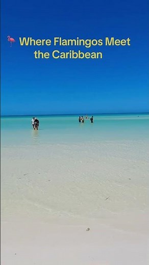 Isla Holbox, Mexico 🇲🇽 | Beyond Cancún Lies a Hidden Paradise