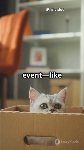 Schrödinger's Cat Explained: The Quantum Physics Paradox