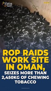 1.3K views · 17 reactions | The Royal Oman Police’s General Administration of Customs, represented by the Compliance and Risk Assessment Department raids an expatriate work site in North Al Batinah and uncovered a factory that prepare tobacco derivatives. Authorities seized more than 2,450kg chewing tobacco and also arrested the workers. | The Arabian Stories | Facebook