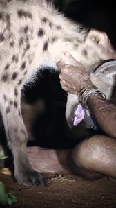 1K views · 15 reactions |  THE POWER OF FRIENDSHIP BETWEEN HUMANS &...