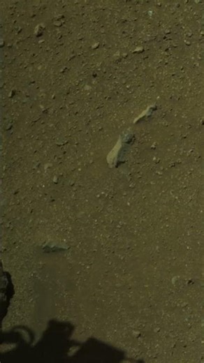 NASA's RIGHT eye zoomed into Sol 1,643 and found gorgeous brutal emptiness 👁️💀🪐