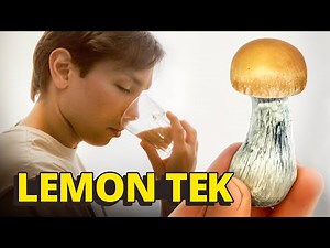 I prepared Mushrooms with Lemon: Method to Activate the Effects (Lemon Tek)