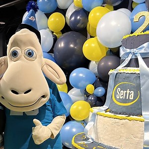 Celebrating the sheep-tacular 25th birthday of our #SertaCountingSheep! For 25 years, our beloved #SertaSheep have been leaping into hearts, jumping over sleepless nights, and herding the world toward better sleep! #25thBirthdayCelebration #25YearsOfComfort #CountingSheepCelebration #SertaMattress #CelebratingSleep #Serta #Mattress #SertaIndia #Luxuriousmattress #SertaComfort | Serta India | Facebook