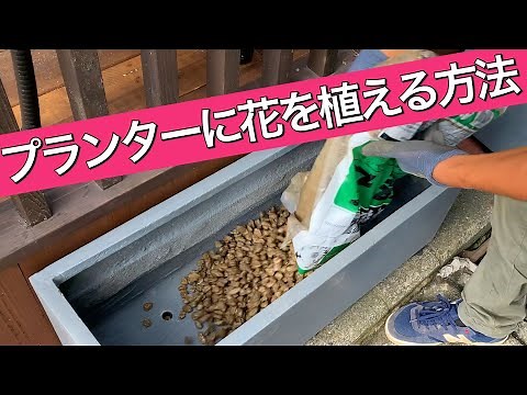 【ガーデニングプランター寄せ植え】プランターに植物（花）を植える方法 プランターに土を入れる方法 【プランター 園芸 花 初心者】