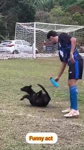 highly funny 🤣🤣 | FUNNY ACT