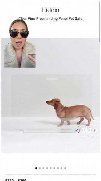 What do gou get the dog that has everything? These gifts, of course. #giftideas #boujeegiftideas #luxurygifts #luxurygiftsforher #luxurygift #dogsoftiktok #doggift #doggifts #doggiftideas #doggiftguide #dogmom #dogmomlife #boujeemom Dog gifts Giftguide #greenscreen