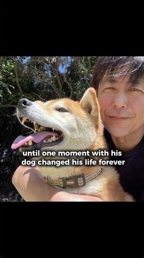 A Japanese Man Sold His Ferrari and Company To Protect Abandoned Dogs. #truestory #kindness
