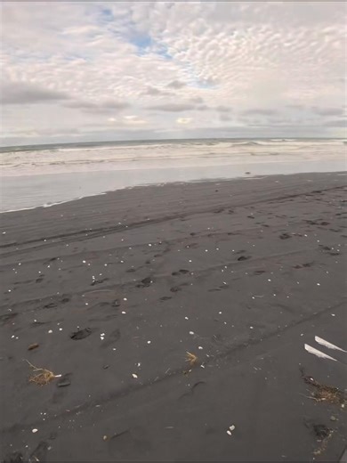 FULL look into DRONE-FISHING in AKL region New Zealand… with Brian Tamaki & Kiri Tamaki 2.5 hours of fishing early morning… 3 successful run outs… 1 = 2 Snapper / 2 kahawai 2 = 1 Gurnard 3 = 2 Snapper & a Shark bite 😉 | Samuel Tamaki