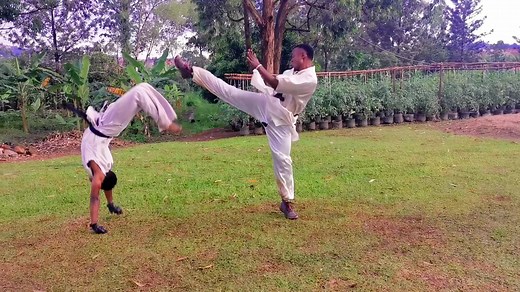 Kung Fu vs Karate: Epic Showdown Explained