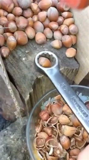 Clever way to crack hazelnuts using a wrench tool