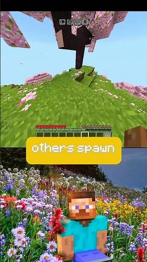 others spawn vs my spawn in Minecraft #minecraft #shortsfeed #shorts