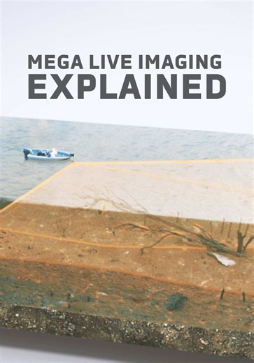 Understanding MEGA Live Imaging Technology