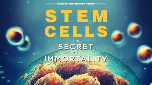 Stem Cells: The Secret to Immortality (2020)