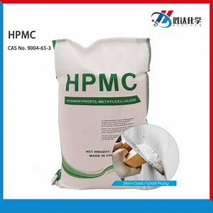 [Hot Item] HPMC Powder Chemical Raw Material Thickener HPMC for Wall Putty