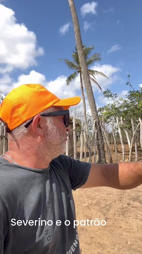 2.6M views · 39K reactions | Quem está certo o dono do boi ou comprador do boi | Comédia | Facebook