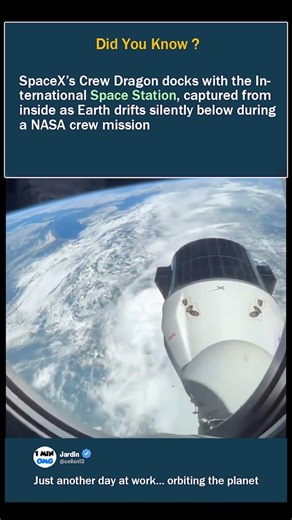 SpaceX Dragon Docks with the ISS as Earth Drifts Below